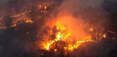 Queima controlada na agricultura tem novas regras em Minas Gerais
