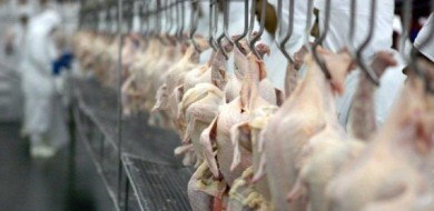 China diz que detectou coronavírus em frango importado do Brasil