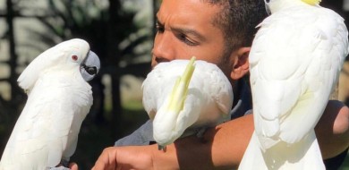 John Barreto fala sobre seu amor e cuidado com aves