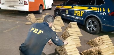 PRF apreende grande quantidade de maconha em micro-ônibus na BR-153