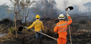 Incêndio atinge Parque Estadual do Pau Furado em Uberlândia