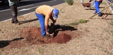 Duas mil mudas serão plantadas às margens no córrego Liso em Uberlândia