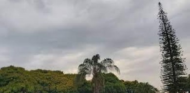 Chove em Uberlândia após 42 dias; moradores comemoram