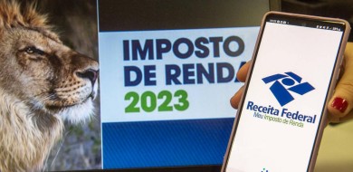 Imposto de Renda 2023: como fazer a declaração do INSS