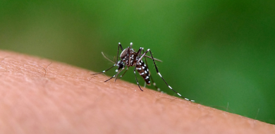 Uberlândia registra primeira morte por chikungunya da história
