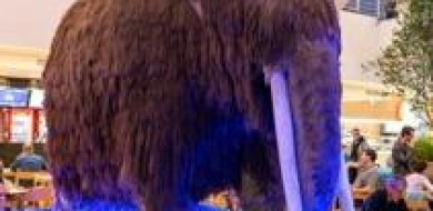 Uberlândia Shopping recebe exposição inédita “Os Gigantes da Era do Gelo’