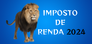 Imposto de Renda 2024: sou MEI, como faço minha declaração?