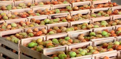 IPCA-15: preços sobem 0,21% em abril, ainda puxados pelos alimentos