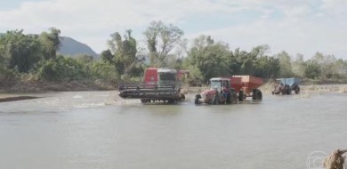 Governo zera imposto para importação de três tipos de arroz até dezembro