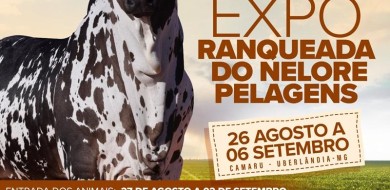 Camaru 2024 terá Exposição Ranqueada do Nelore Pelagens de Uberlândia
