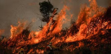 Governo anuncia R$ 514 milhões e vai agilizar verba do Fundo Amazônia