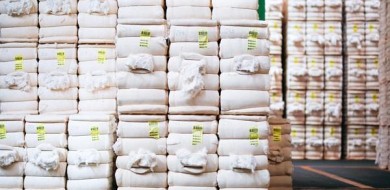 Amipa conclui auditorias para certificação de algodoeiras mineiras